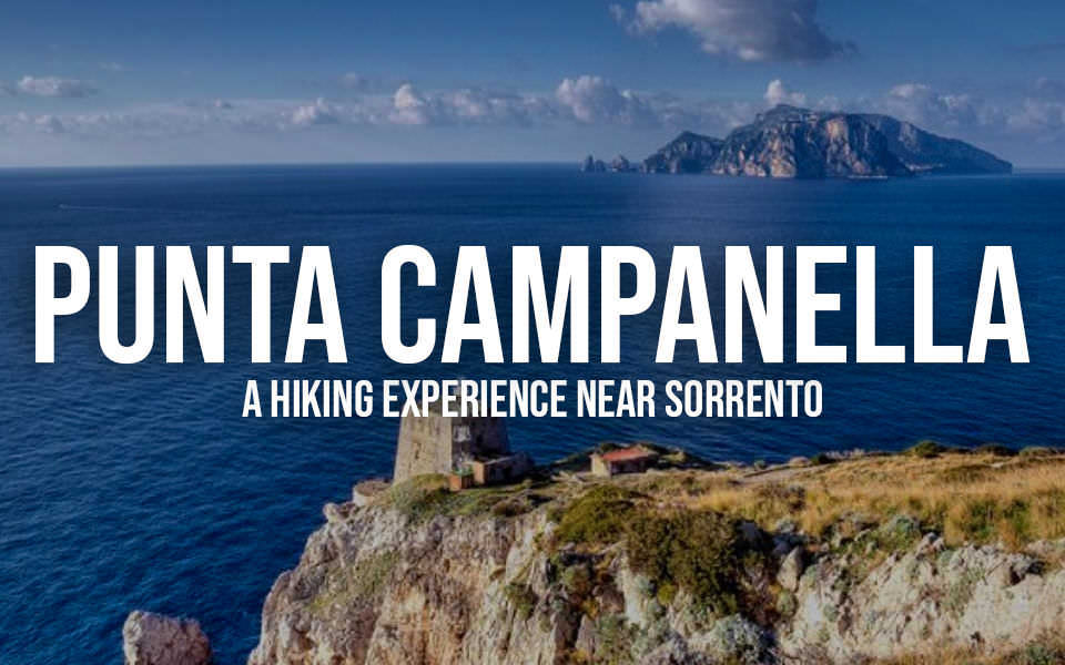 punta campanella flyer