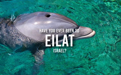 Eilat, Israel My Rental Homes