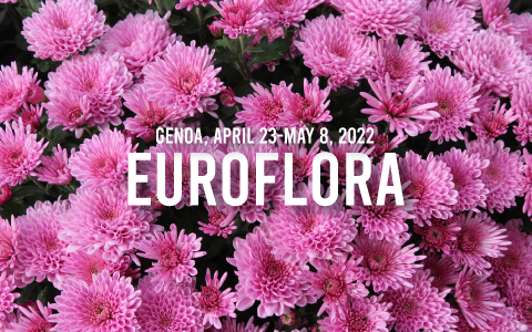 Euroflora Liguria flowers My Rental Homes