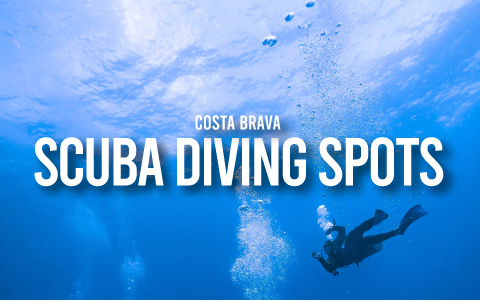 The Best Places for Scuba Diving on the Costa Brava, Spain