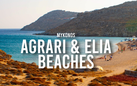 A Complete Guide to Agrari and Elia Beaches in Mykonos
